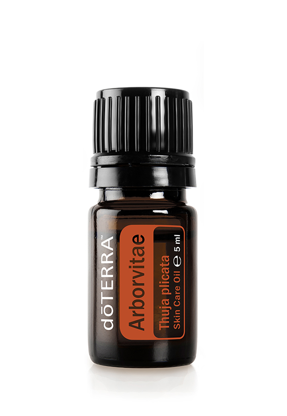 doTERRA Lebensbaum (Arborvitae)