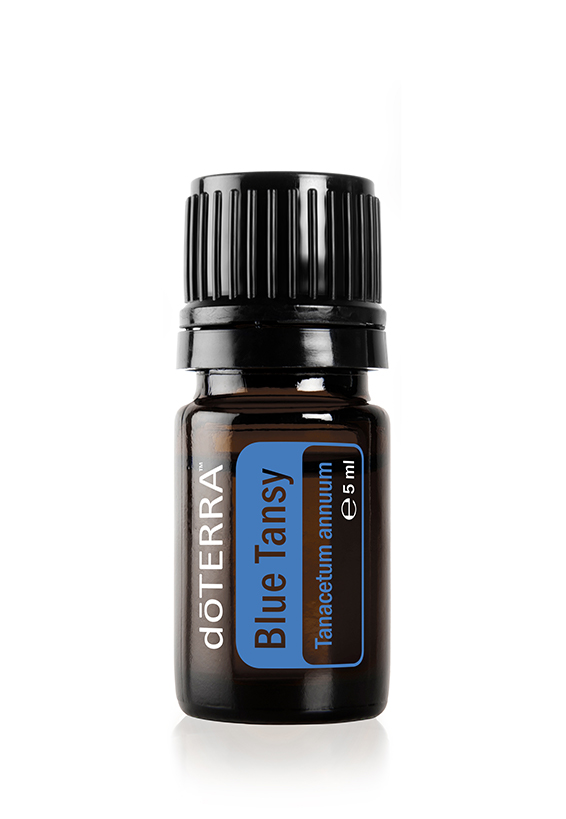 Blue-Tansy Blue Tansy 2