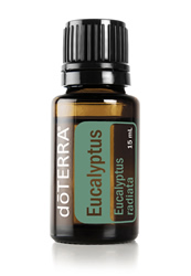 doterra-poweroele.de Eukalyptus