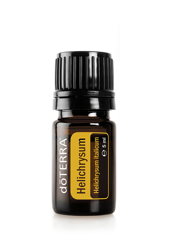 Helichrysum 1