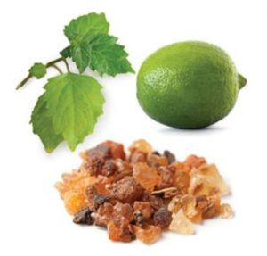 Intune2 doterra-poweroele.de Intune 2