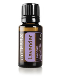 doTERRA Lavendel