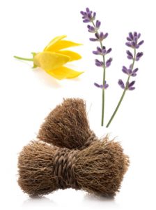 Peace_Touch2 doterra-poweroele.de Peace Touch2