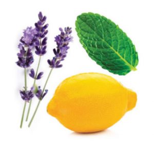 TriEase2 doterra-poweroele.de