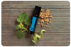 Produkt des Monats April: AIR Touch 10 ml