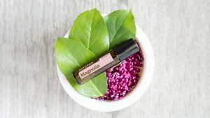 doTERRA Magnolia Touch