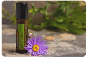 Produkt des Monats Juni: Melaleuca Touch