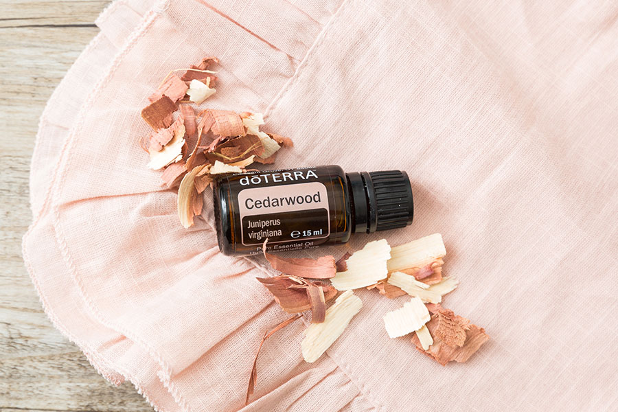 Aug-Cedarwood-600×900 doTERRA TerraShield Produkt des Monats Juli 2019