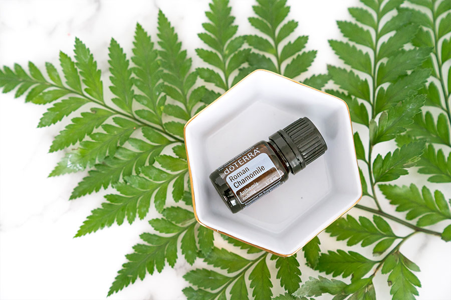 Roman-Chamomile-600×900 doTERRA Sonderaktion September 2019