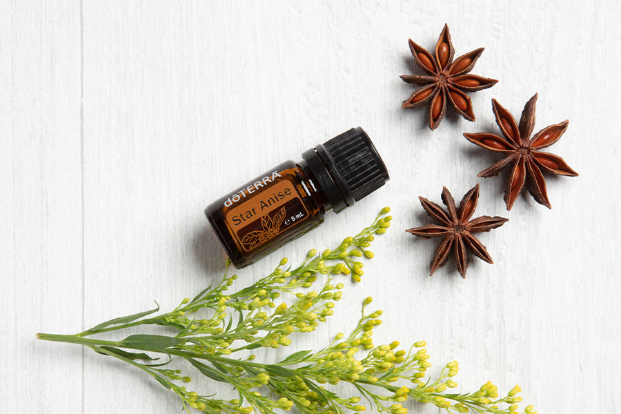 Star-Anise-600×900 doTERRA Produkt des Monats Oktober 2019 - Star Anise