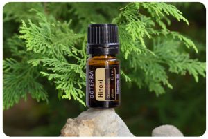 doTERRA Produkt des Monats Januar - Hinoki 5ml