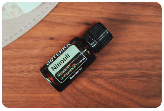 niaouli doTERRA Niaouli ist Produkt des Monats Juli 2020