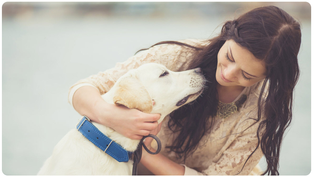 doTERRA Ätherische Öle für Tiere