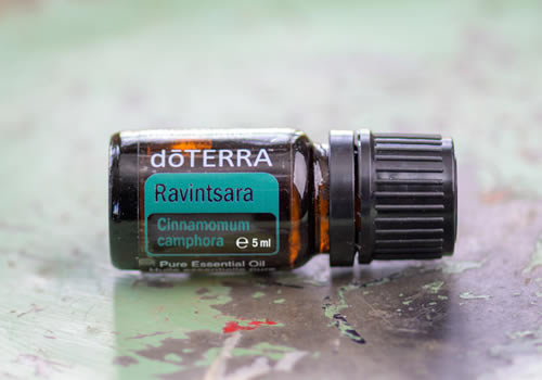 doTERRA Ravintsara Produkt des Monats September 2021