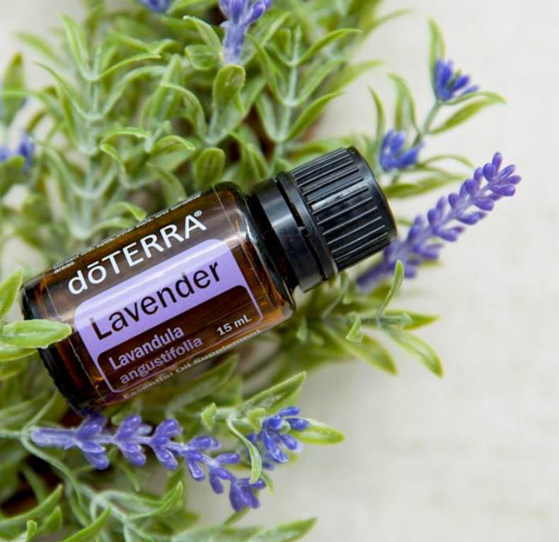 doTERRA Produkt des Monats Februar 2023: LAVENDEL