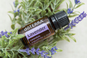 doTERRA Lavendel 15ml